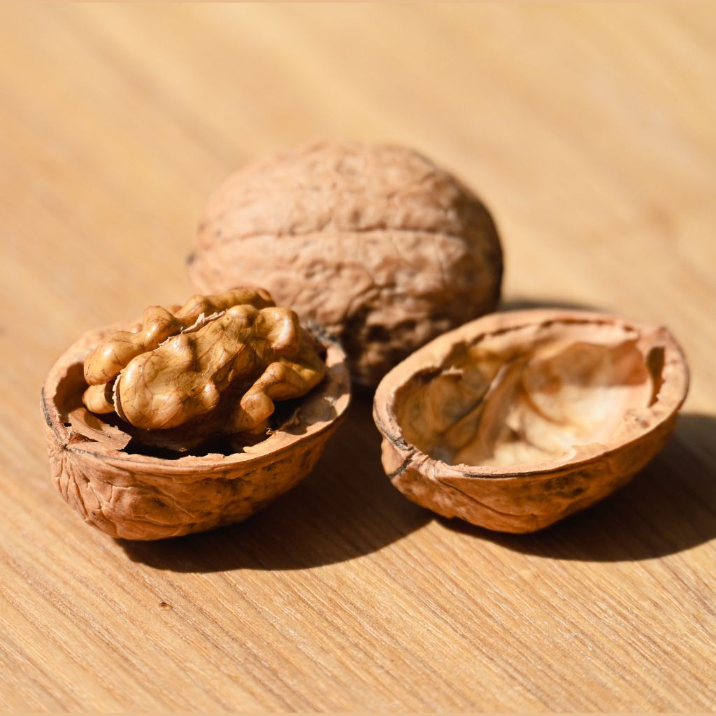 Walnuts Without Shell